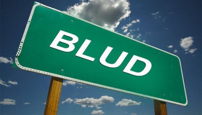 BLUD Akan Berbeda Jika Ditopang Peraturan Direksi