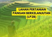 Potret Pengusaha Kebal Hukum Di Jombang (2): DIPASTIKAN TABRAK UNDANG-UNDANG  LP2B