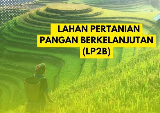 Potret Pengusaha Kebal Hukum Di Jombang (2): DIPASTIKAN TABRAK UNDANG-UNDANG  LP2B