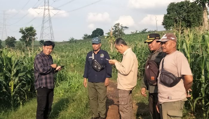 Perhutani Divre Jatim Gerak Cepat Sikapi Dugaan Tanaman Tebu Liar