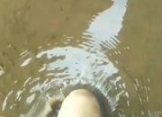 Mengawal Babak Akhir Proyek Sentra PKL (2): ONGKOS JUMBO HASIL BELUM WOW….