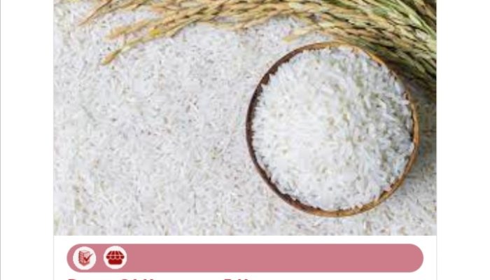 Pengadaan Beras Pemkot Terancam Bermasalah (2): BENARKAH CV LM PENYEDIA BERAS?