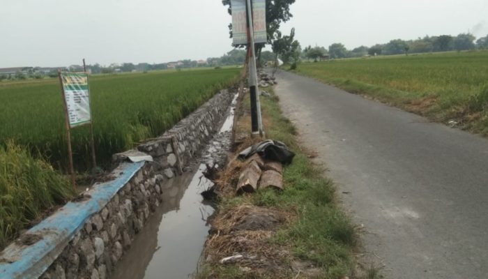 Dana Desa Ratusan Juta di Desa Dapurkejambom Untuk Pembangunan Berkelanjutan